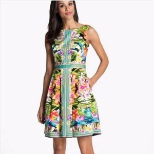Maggy London | Sleeveless Tropical Floral Chain Print A-Line Dress